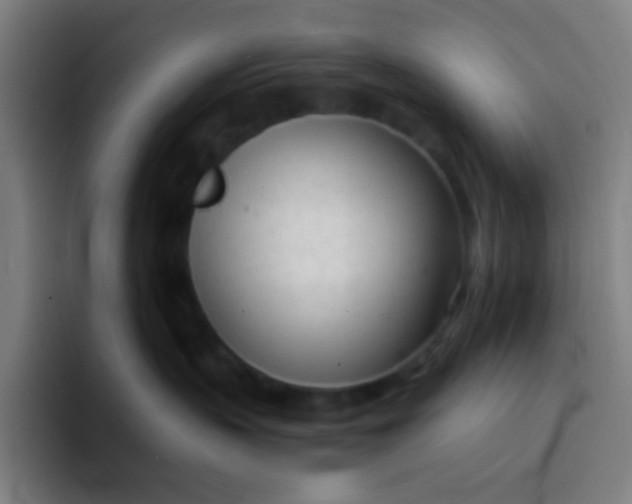 X0000094320383200711161935