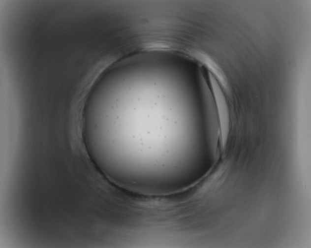 X0000094320385200711161934