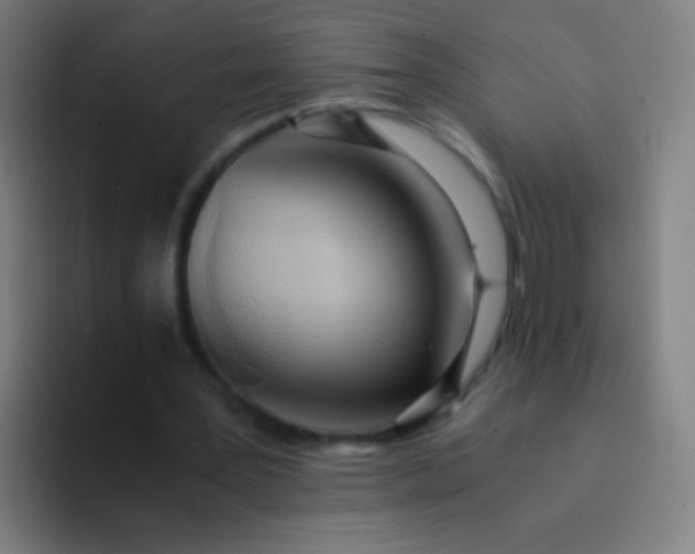 X0000094320387200711161934