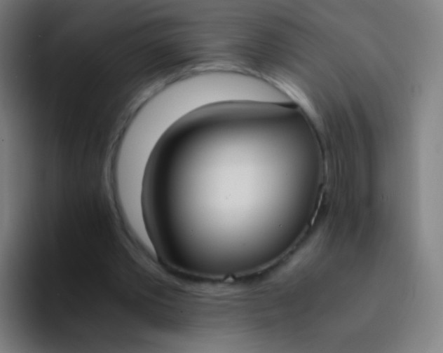 X0000094320389200711161934