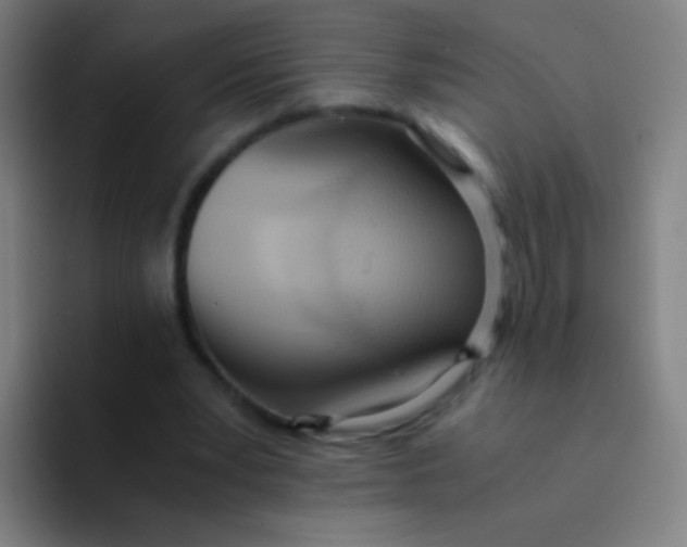 X0000094320391200711161934