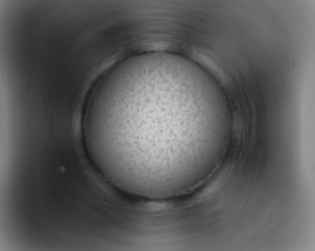 X0000094320394200711161934
