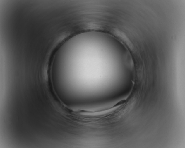 X0000094320395200711161934
