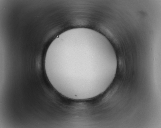 X0000094320396200711161934