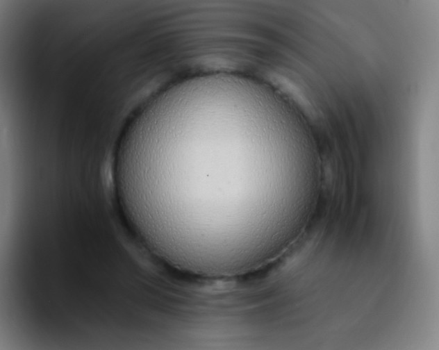 X0000094320398200711161934