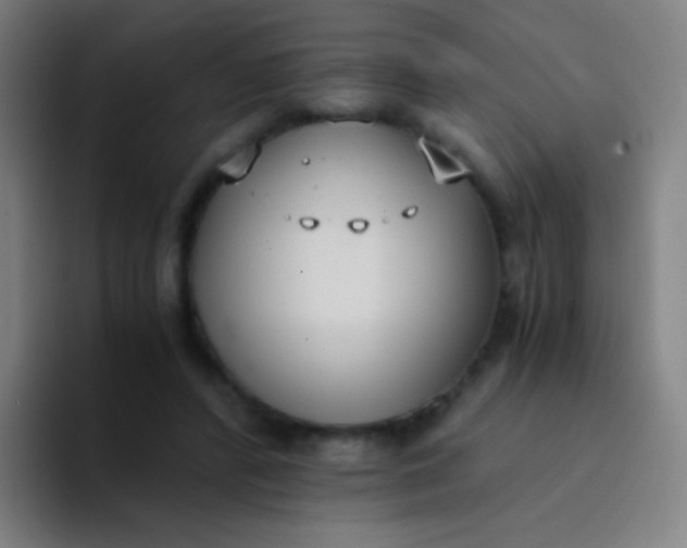 X0000094320400200711161934