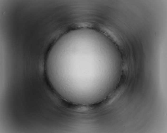 X0000094320402200711161934