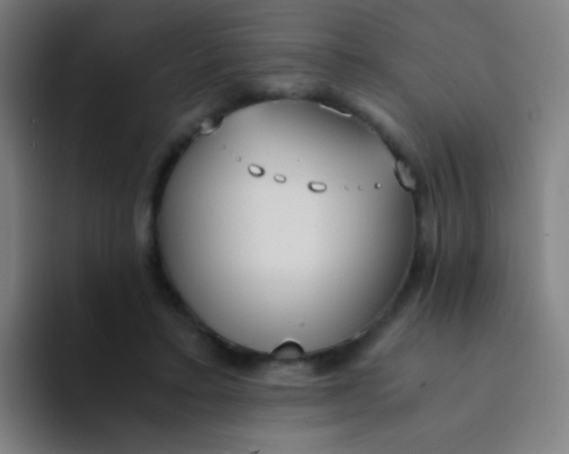 X0000094320403200711161934