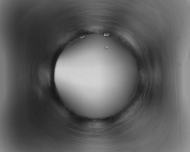 X0000094320404200711161934