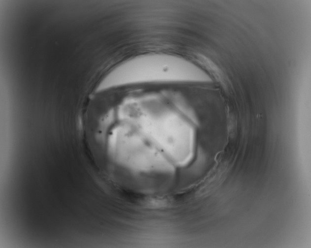 X0000094320405200711161934