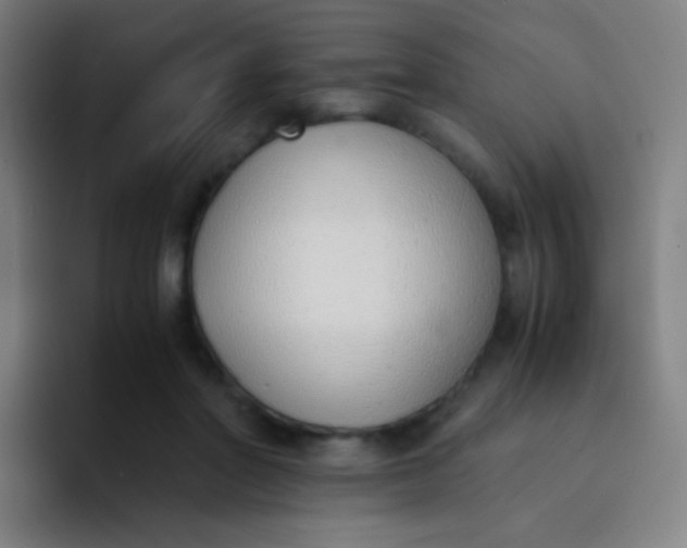 X0000094320406200711161934