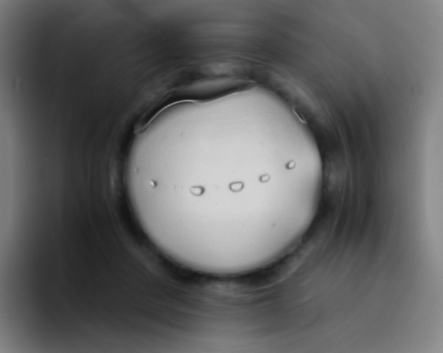 X0000094320408200711161934