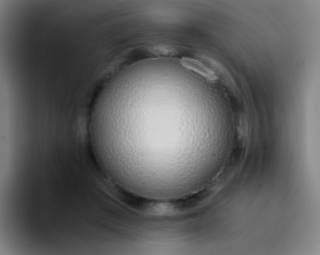 X0000094320409200711161934