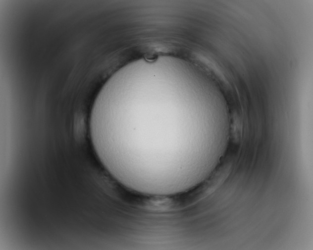 X0000094320410200711161934
