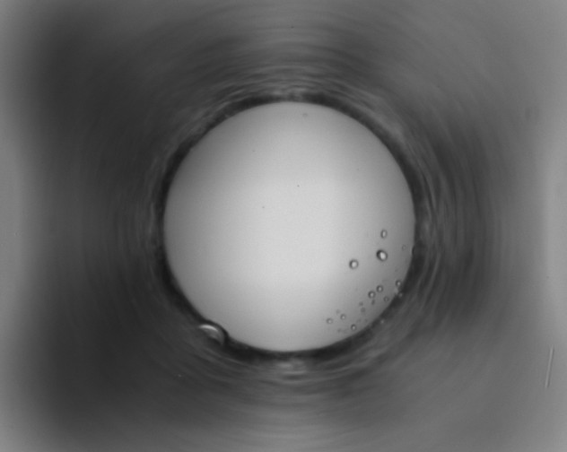 X0000094320411200711161934