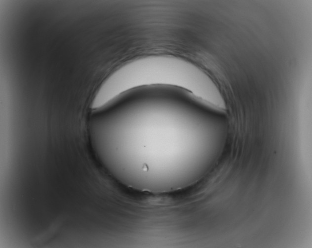 X0000094320415200711161934