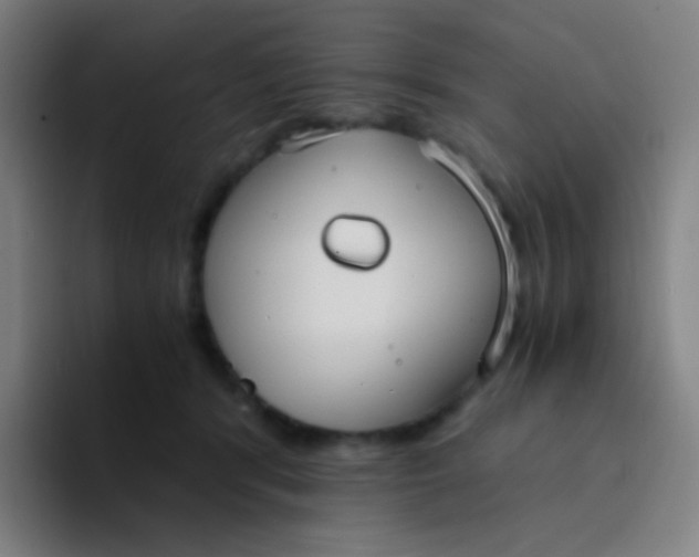 X0000094320416200711161933