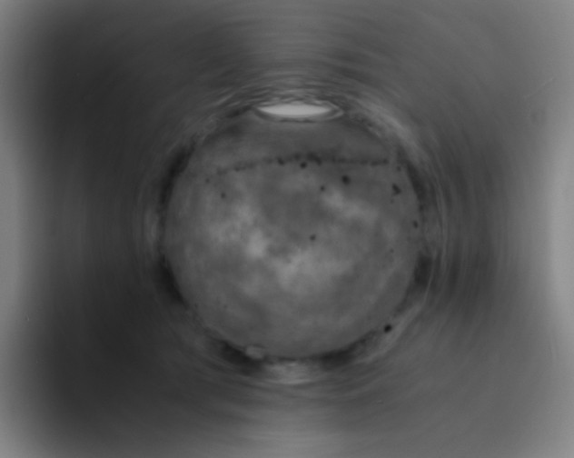 X0000094320417200711161933