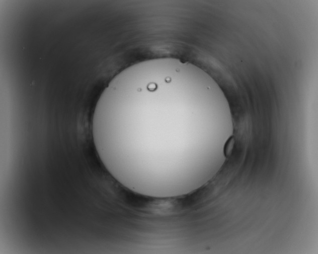 X0000094320418200711161933