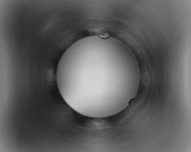 X0000094320420200711161933