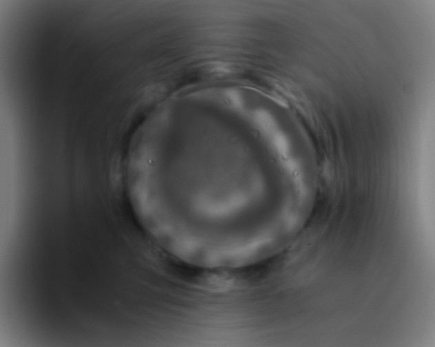 X0000094320423200711161933