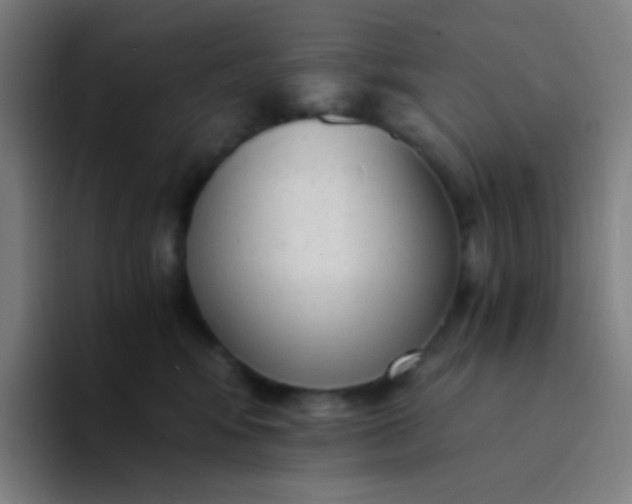 X0000094320424200711161933