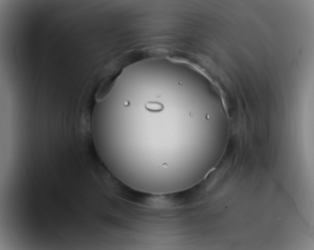 X0000094320425200711161933