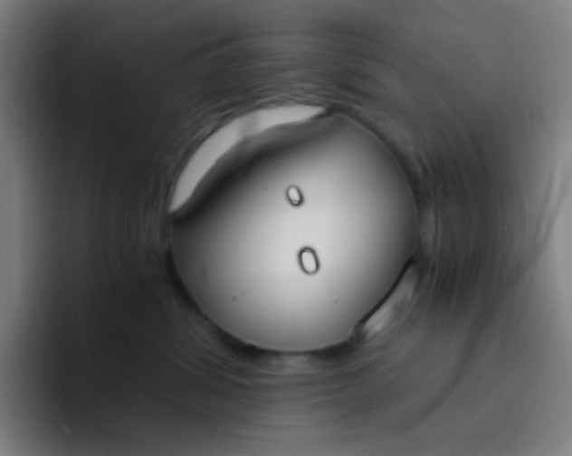 X0000094320428200711161933