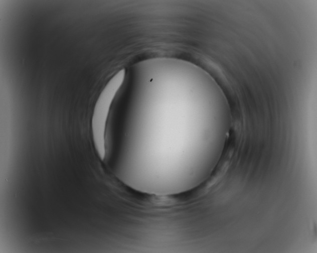 X0000094320429200711161933