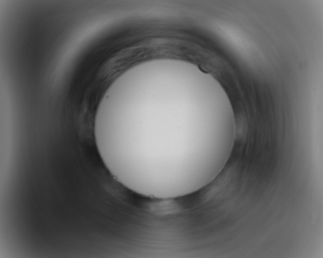 X0000094320431200711161933