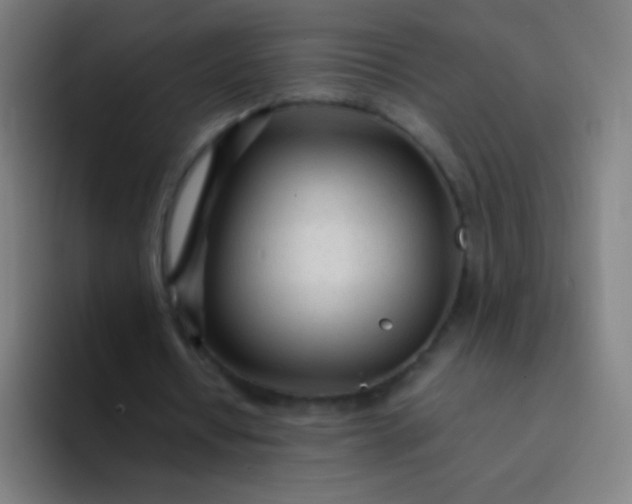 X0000094320434200711161933