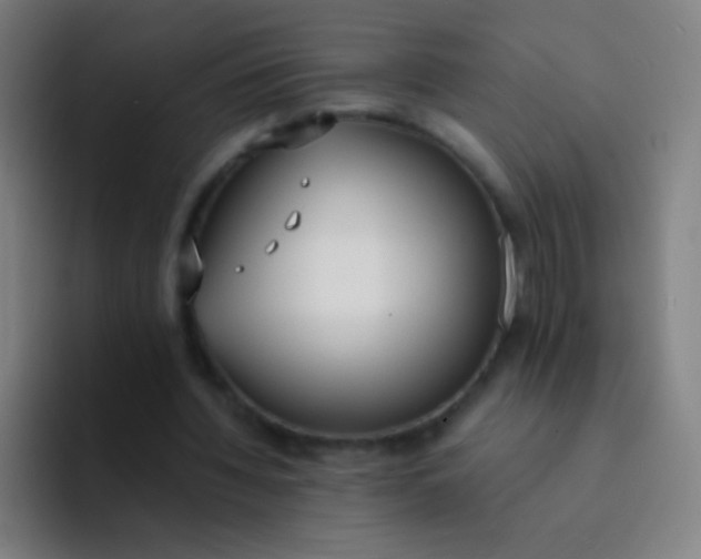 X0000094320436200711161933
