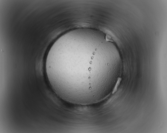 X0000094320439200711161933