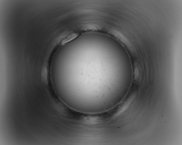 X0000094320444200711161933