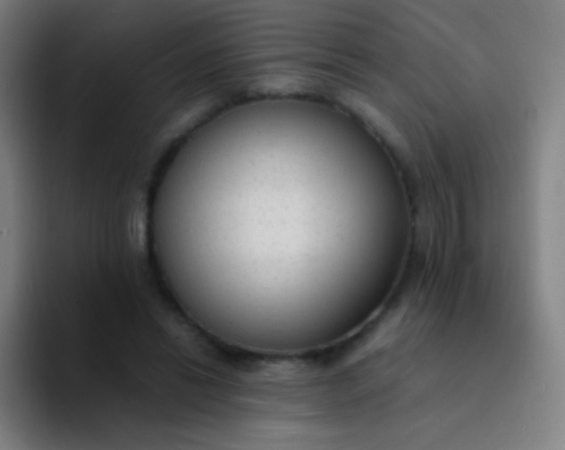 X0000094320446200711161933