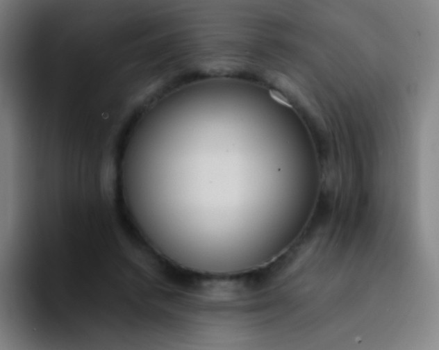 X0000094320448200711161933