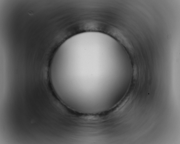 X0000094320449200711161933