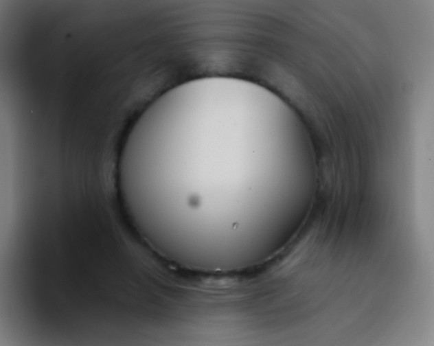 X0000094320450200711161933