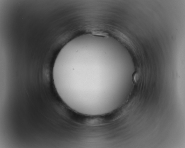 X0000094320452200711161933