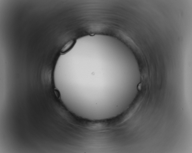 X0000094320454200711161933