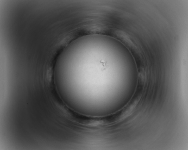 X0000094320458200711161933