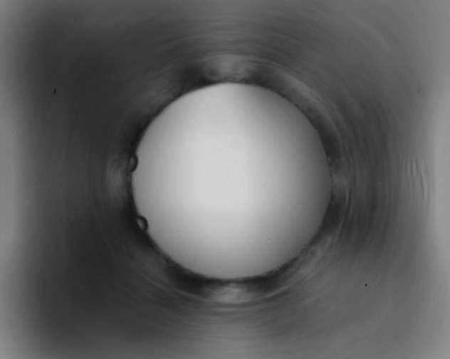 X0000094320460200711161933