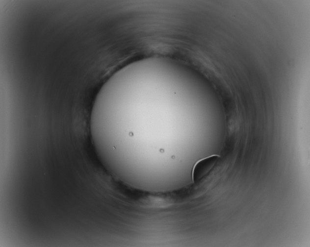 X0000094320464200711161933