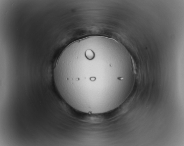 X0000094320466200711161933