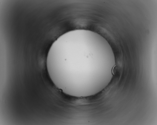 X0000094320468200711161933