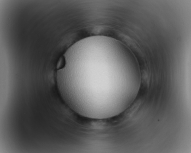 X0000094320470200711161933