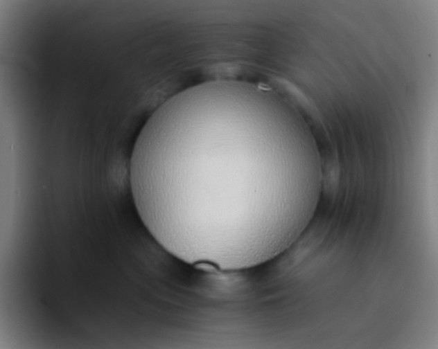X0000094320477200711161933