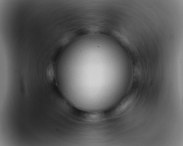 X0000094320479200711161933