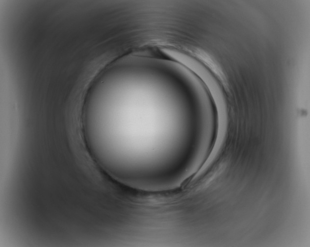 X0000094320481200711161933