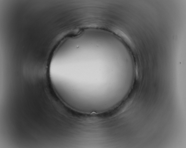 X0000094320483200711161933